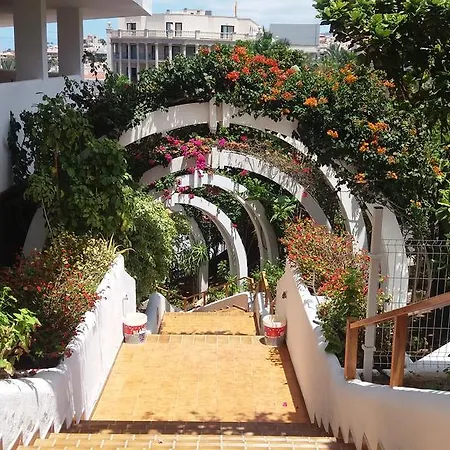 Apartment Parque Royale